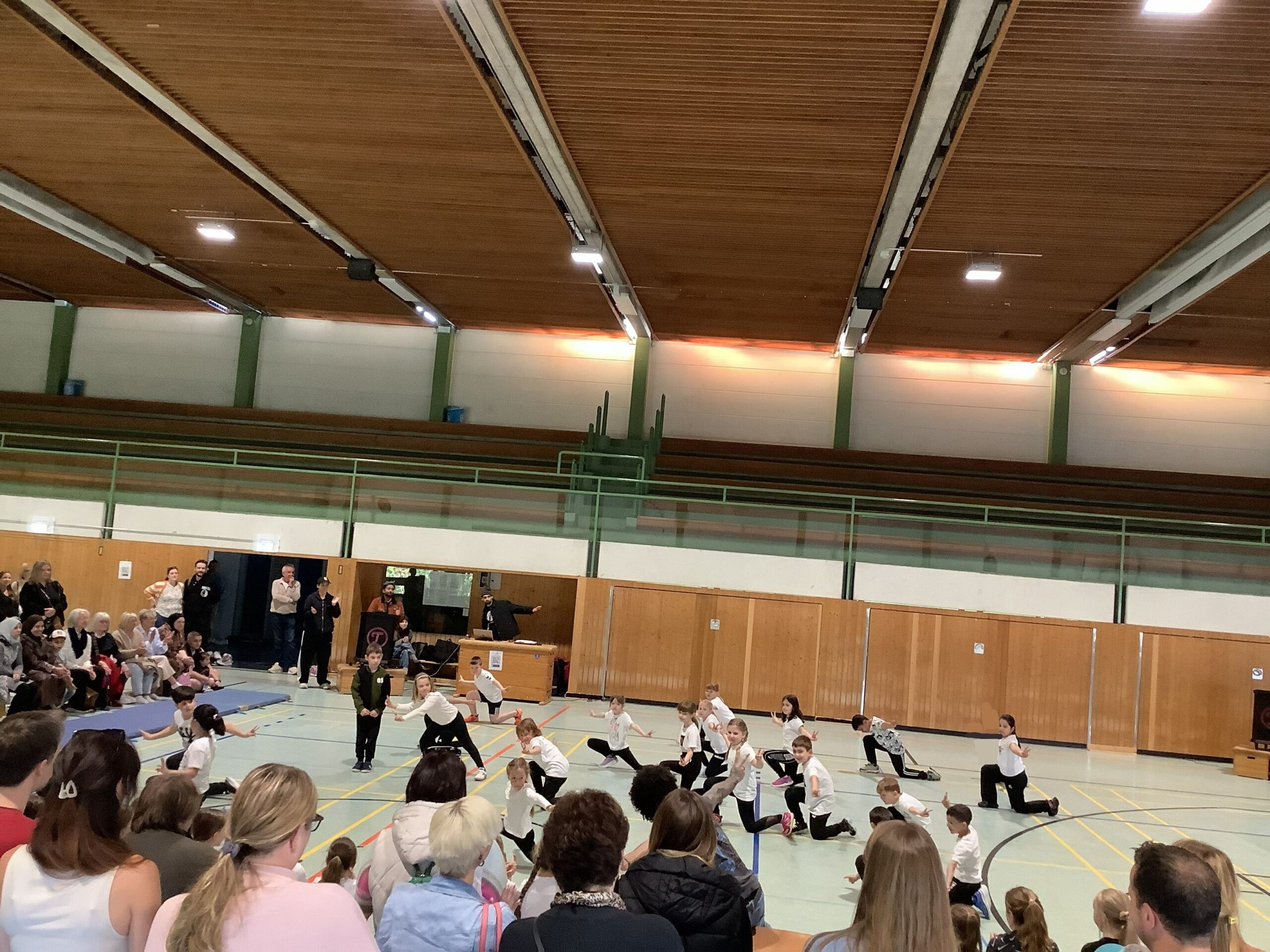 Löwen,Hunde_1,2