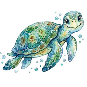 4a_Schildkröten